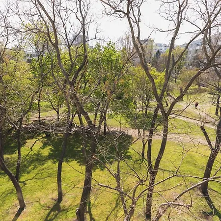 за гости боряна דירה *