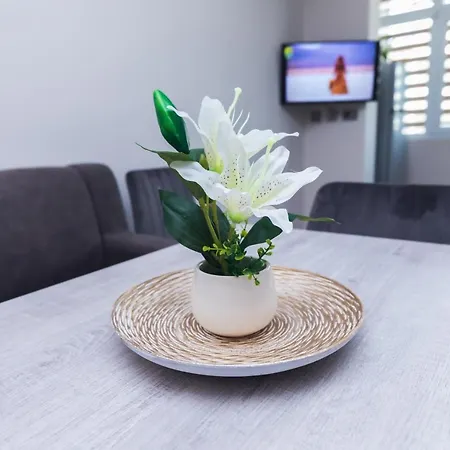 за гости боряна Apartment Burgas