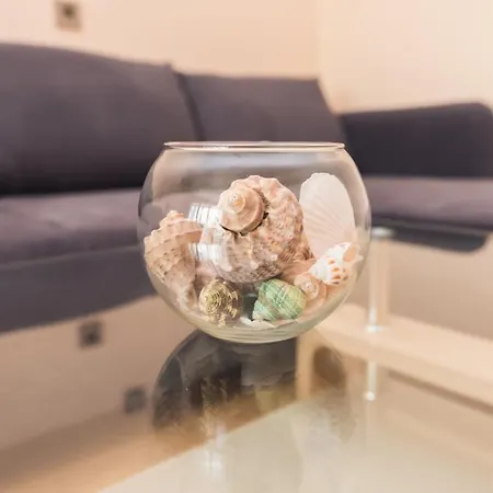 за гости боряна 아파트