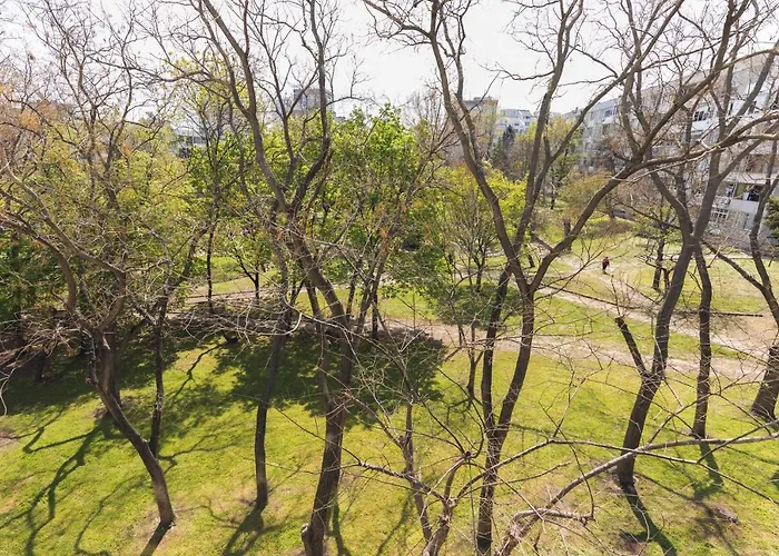 за гости боряна Apartment *