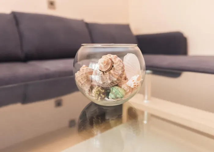 за гости боряна Apartment